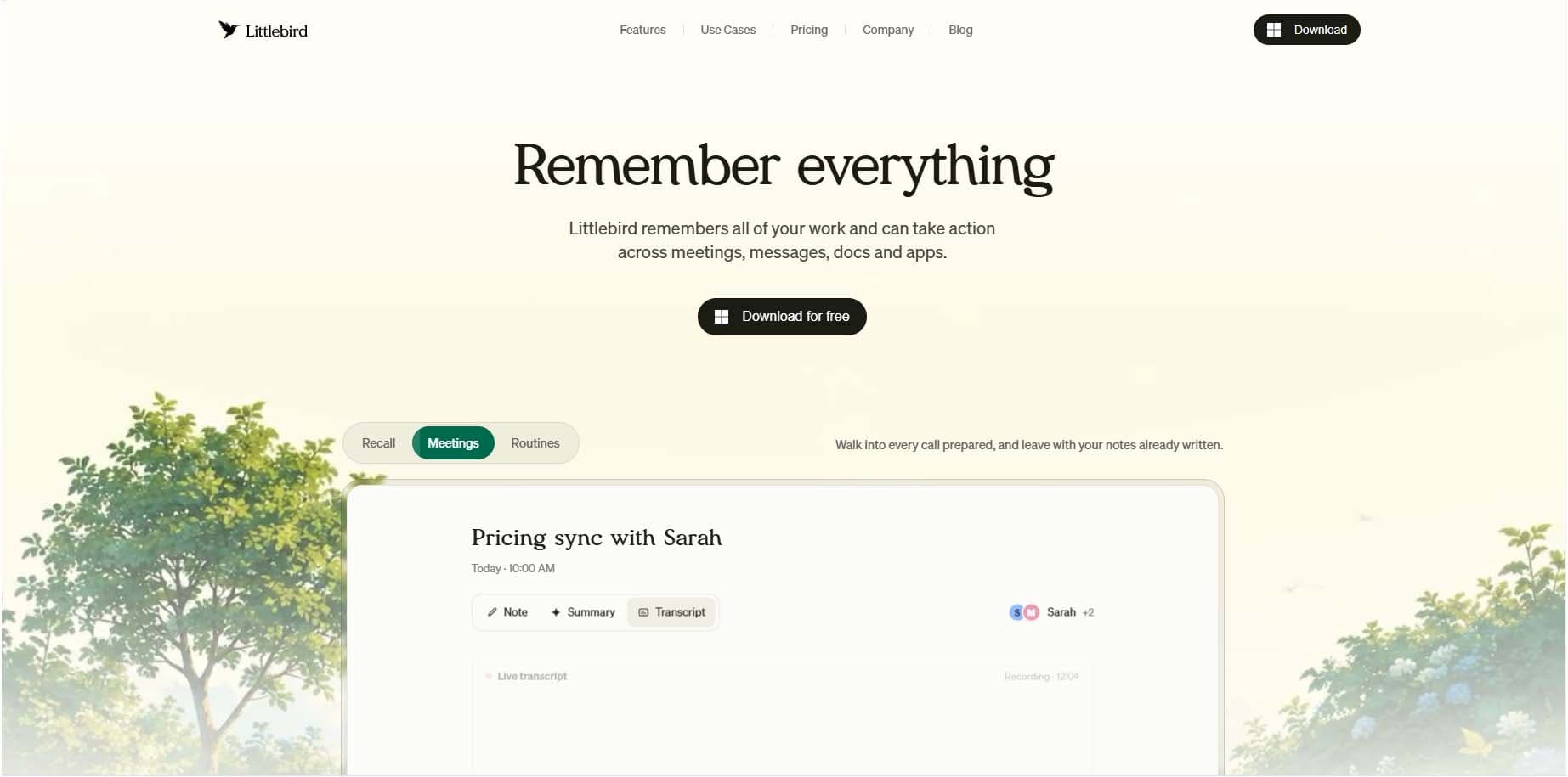 Littlebird website case study