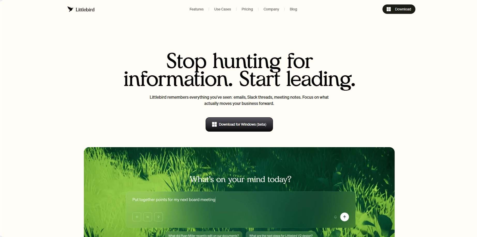 Littlebird AI product marketing website, desktop view 2 of 3