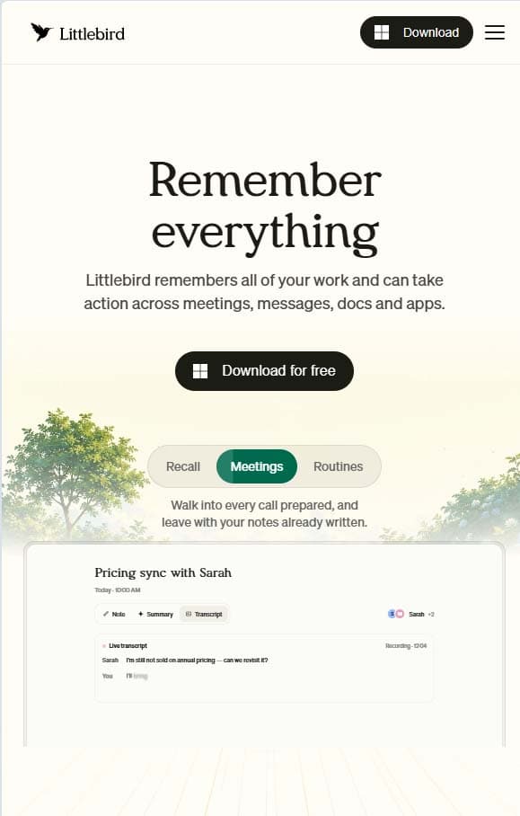 Littlebird AI product marketing website, mobile view 1 of 3